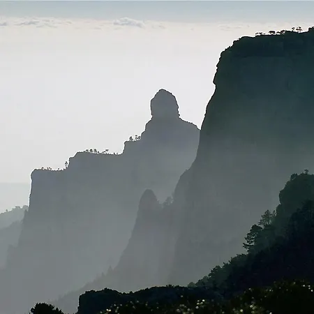 Trevol L'Ampolla